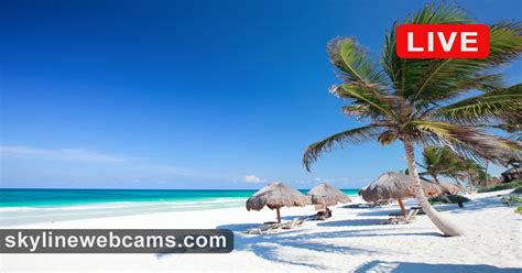 riviera maya webcam|【LIVE】 Webcam Tulum